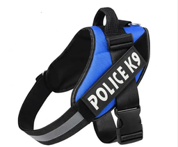 [0287] ARNES K9 T.S